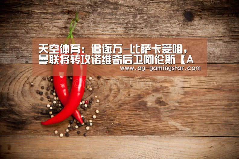 天空体育:追逐万-比萨卡受阻,曼联将转攻诺维奇后卫阿伦斯【AG入口】(图1) AG入口