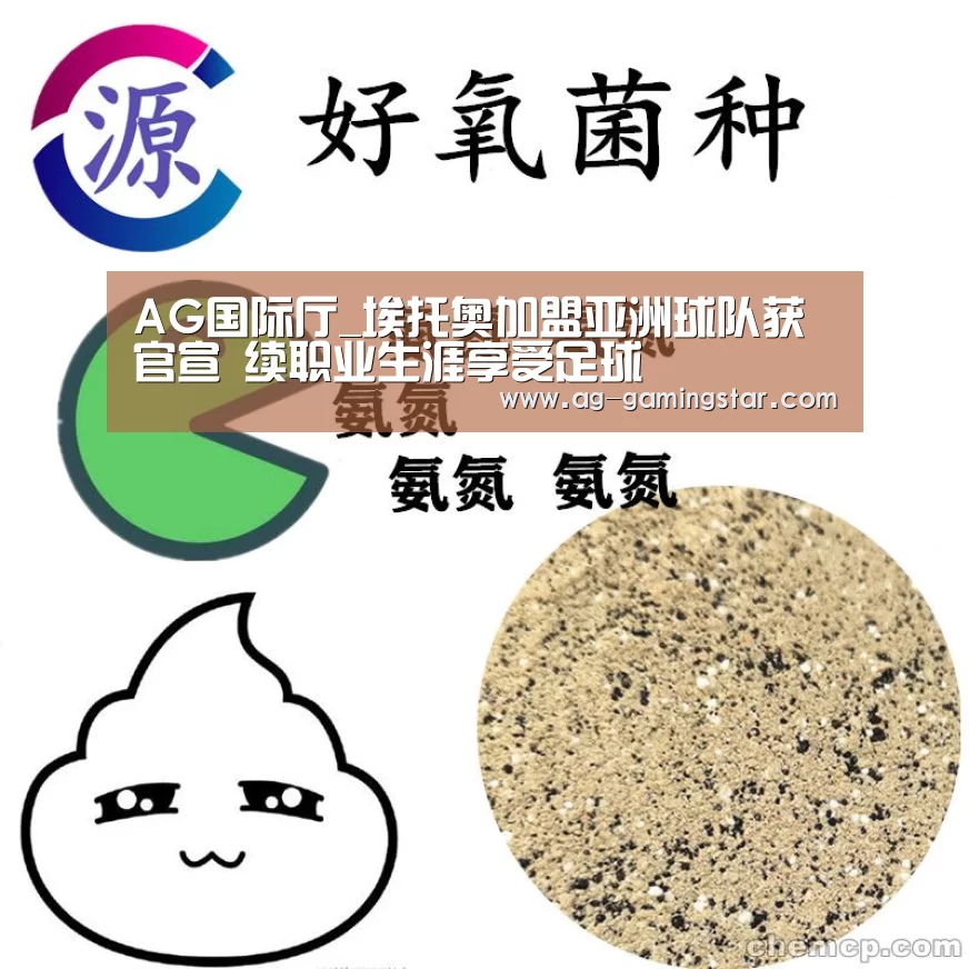 AG入口